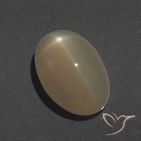 Pierre de lune étoilée Orange moyen-foncé naturelle ovale, 9.46 ct, Translucide