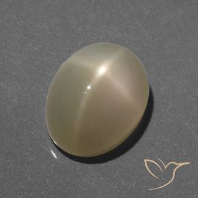 Pierre de lune étoilée Jaune clair naturelle ovale, 6.35 ct, Translucide