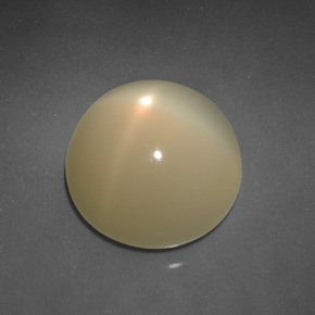 Pierre de lune étoilée Jaune clair naturelle Coupe roude, 6.83 ct, Translucide