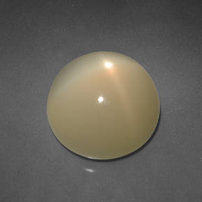 Pierre de lune étoilée Jaune clair naturelle Coupe roude, 6.83 ct, Translucide