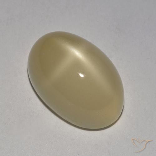 5.38ct Naturel Brun pâle Pierre de lune étoilée, ovale, Translucide