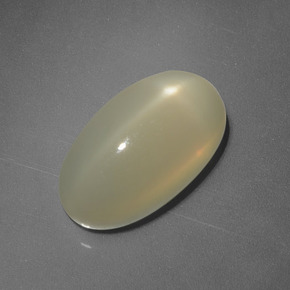 Pierre de lune étoilée Crème naturelle Coupe ovale, 6.91 ct, Translucide