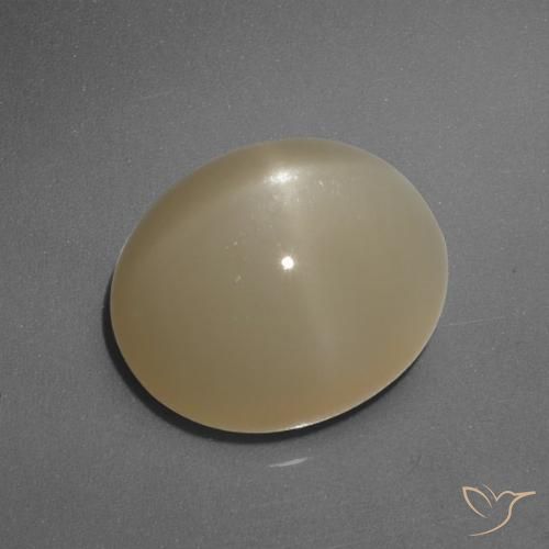6.05ct Naturel Orange moyen-foncé Pierre de lune étoilée, ovale, Translucide