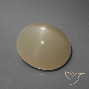 Pierre de lune étoilée Orange moyen-foncé naturelle ovale, 6.05 ct, Translucide