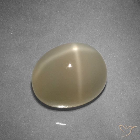 5.32ct Naturel Orange moyen-foncé Pierre de lune étoilée, ovale, Translucide
