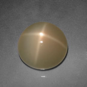 Pierre de lune étoilée Crème naturelle Coupe roude, 5.94 ct, Translucide