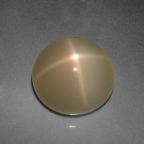 Pierre de lune étoilée Crème naturelle Coupe roude, 5.94 ct, Translucide