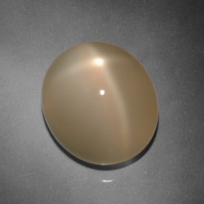 Pierre de lune étoilée Orange cantaloup naturelle Coupe ovale, 14.47 ct, Translucide