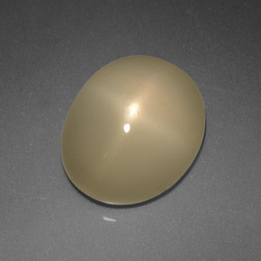 Pierre de lune étoilée crème naturelle coupe ovale, 5,08 ct, translucide