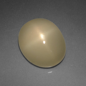 Pierre de lune étoilée crème naturelle coupe ovale, 5,08 ct, translucide