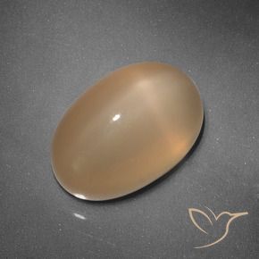 Pierre de lune étoilée Orange moyen naturelle ovale, 5.37 ct, Translucide