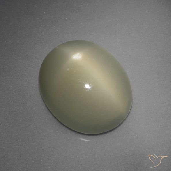 5.67ct Naturel Jaune gris moyen Pierre de lune étoilée, ovale, Translucide