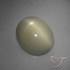Pierre de lune étoilée Jaune gris moyen naturelle ovale, 5.67 ct, Translucide