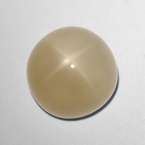 Pierre de lune étoilée marron naturelle coupe roude, 5,72 ct, translucide