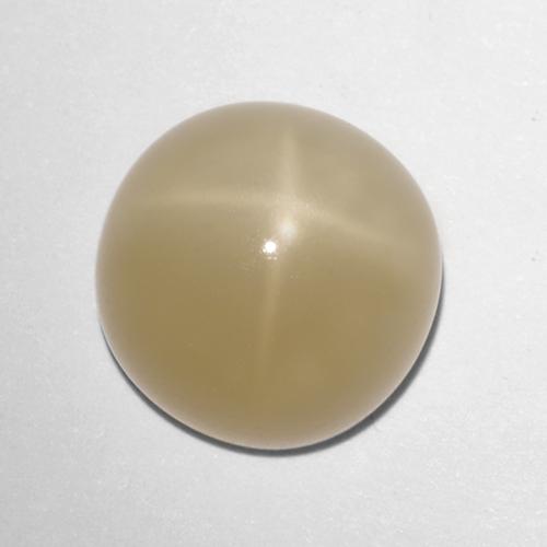 Pierre de lune étoilée marron naturelle coupe roude, 5,72 ct, translucide