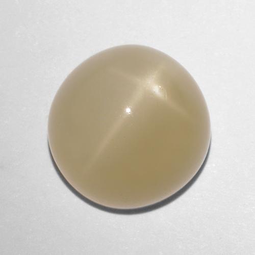 Pierre de lune étoilée marron naturelle coupe roude, 5,72 ct, translucide