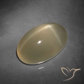 Pierre de lune étoilée Brun tortilla léger naturelle ovale, 9.25 ct, Translucide