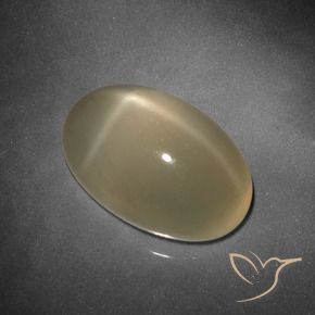 Pierre de lune étoilée Brun tortilla léger naturelle ovale, 9.25 ct, Translucide