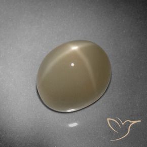 Pierre de lune étoilée Brun tortilla léger naturelle ovale, 9.79 ct, Translucide