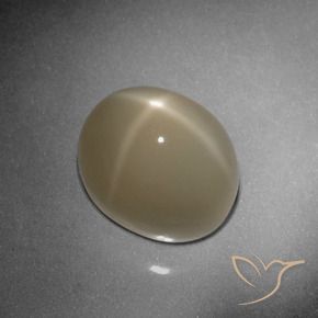 Pierre de lune étoilée Brun tortilla léger naturelle ovale, 9.79 ct, Translucide