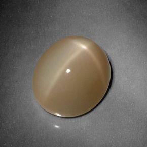 Pierre de lune étoilée orange naturelle coupe ovale, 10,13 ct, translucide
