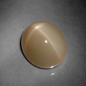 Pierre de lune étoilée orange naturelle coupe ovale, 10,13 ct, translucide
