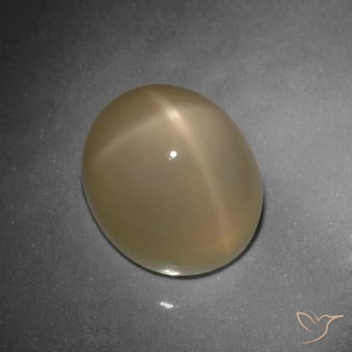 10.80ct Naturel Orange moyen-foncé Pierre de lune étoilée, ovale, Translucide