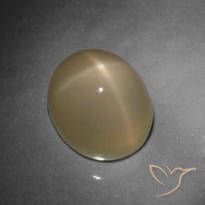 Pierre de lune étoilée Orange moyen-foncé naturelle ovale, 10.80 ct, Translucide