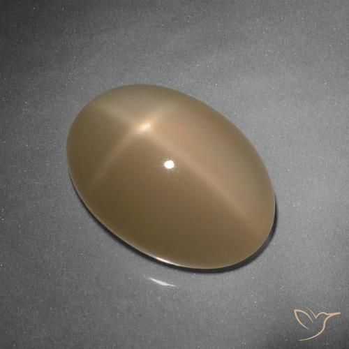 9.26ct Naturel Orange cantaloup Pierre de lune étoilée, ovale, Translucide