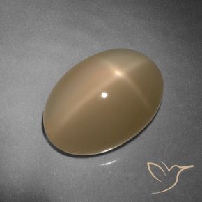 Pierre de lune étoilée Orange cantaloup naturelle ovale, 9.26 ct, Translucide