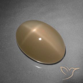 Pierre de lune étoilée Orange cantaloup naturelle ovale, 9.26 ct, Translucide
