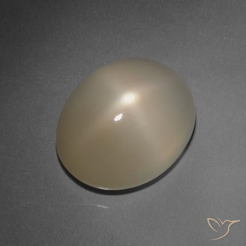 7.89ct Naturel Brun pâle Pierre de lune étoilée, ovale, Translucide, Photo A