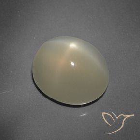Pierre de lune étoilée Brun terre naturelle ovale, 7.24 ct, Translucide