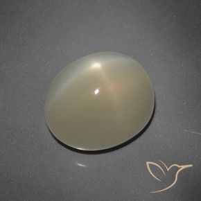Pierre de lune étoilée Brun terre naturelle ovale, 7.24 ct, Translucide