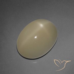 Pierre de lune étoilée Marron clair naturelle ovale, 7.30 ct, Translucide