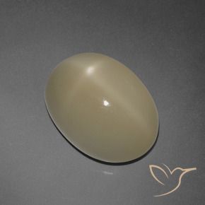 Pierre de lune étoilée Marron clair naturelle ovale, 7.30 ct, Translucide
