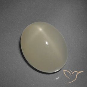 Pierre de lune étoilée Marron clair naturelle ovale, 7.55 ct, Translucide