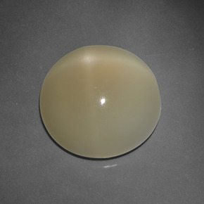 Pierre de lune étoilée marron naturelle coupe roude, 7,63 ct, translucide