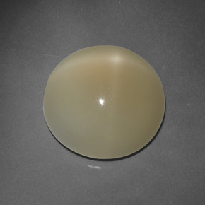 Pierre de lune étoilée marron naturelle coupe roude, 7,63 ct, translucide