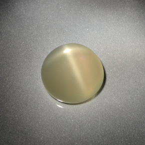 Pierre de lune étoilée Crème naturelle Coupe roude, 3.69 ct, Translucide