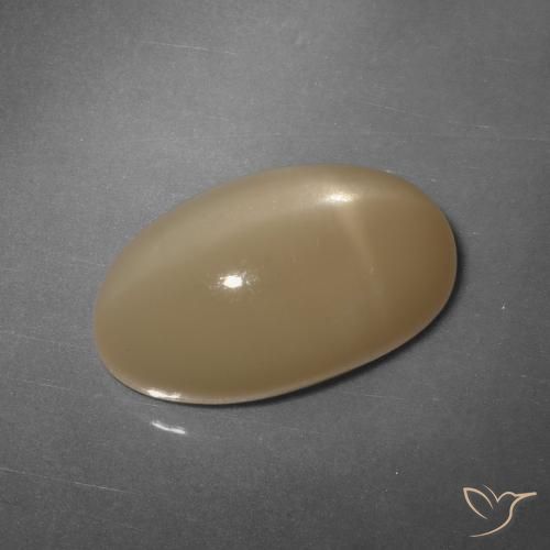 11.04ct Naturel Orange cantaloup Pierre de lune étoilée, ovale, Translucide