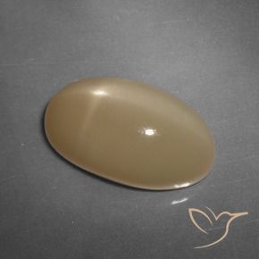 Pierre de lune étoilée Orange cantaloup naturelle ovale, 11.04 ct, Translucide