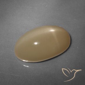 Pierre de lune étoilée Orange cantaloup naturelle ovale, 11.04 ct, Translucide