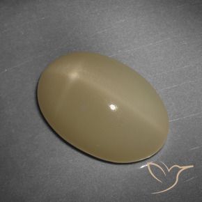Pierre de lune étoilée orange naturelle coupe ovale, 12,43 ct, translucide