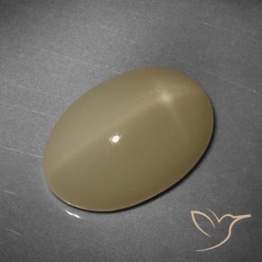 Pierre de lune étoilée orange naturelle coupe ovale, 12,43 ct, translucide