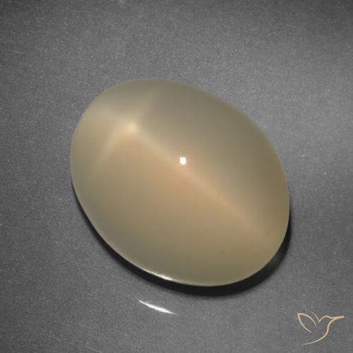 11.92ct Naturel Brun pâle Pierre de lune étoilée, ovale, Translucide