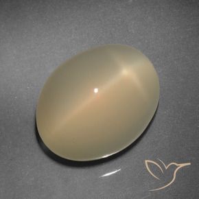 Pierre de lune étoilée Brun pâle naturelle ovale, 11.92 ct, Translucide