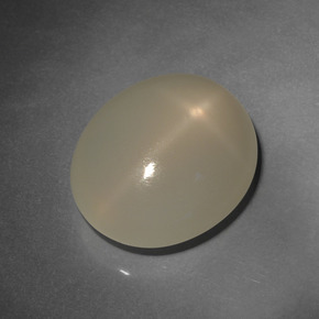 Pierre de lune étoilée marron naturelle coupe ovale, 12,80 ct, translucide