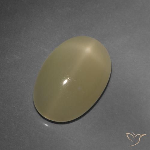 4.86ct Naturel Brun tortilla léger Pierre de lune étoilée, ovale, Translucide