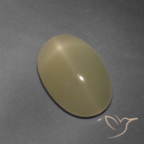 Pierre de lune étoilée Brun tortilla léger naturelle ovale, 4.86 ct, Translucide